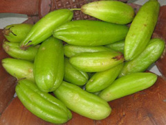 Bilimbi