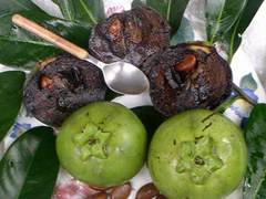 Black Sapote