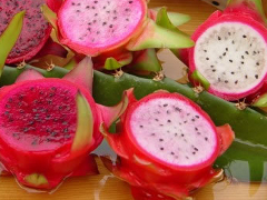 Dragon Fruit