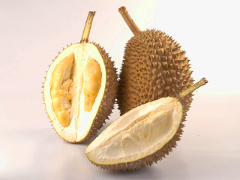 Durian