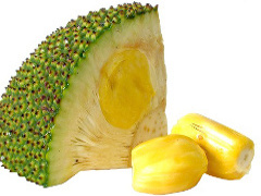 Jackfruit