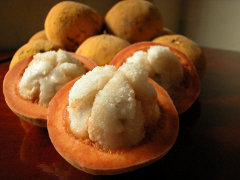 Santol