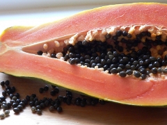 Papaya