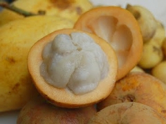 Santol