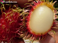 Rambutan