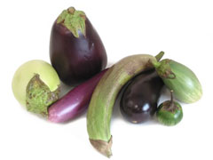 eggplant