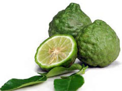 kaffir lime